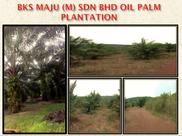 Screen Shot 2018-08-21 at 1.37.29 PM